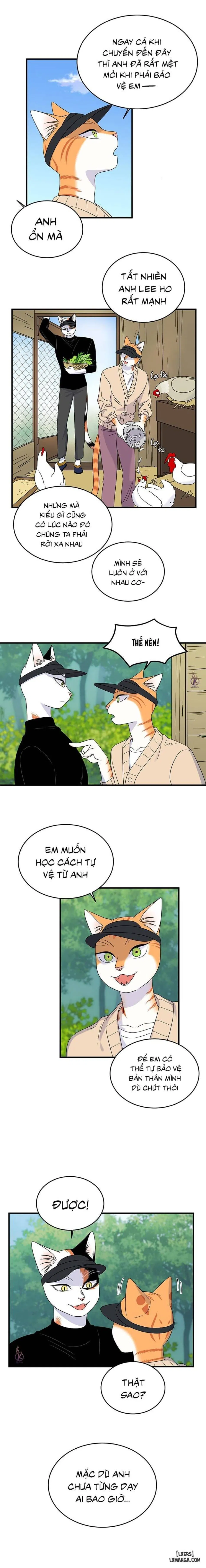 Dự án xanh 