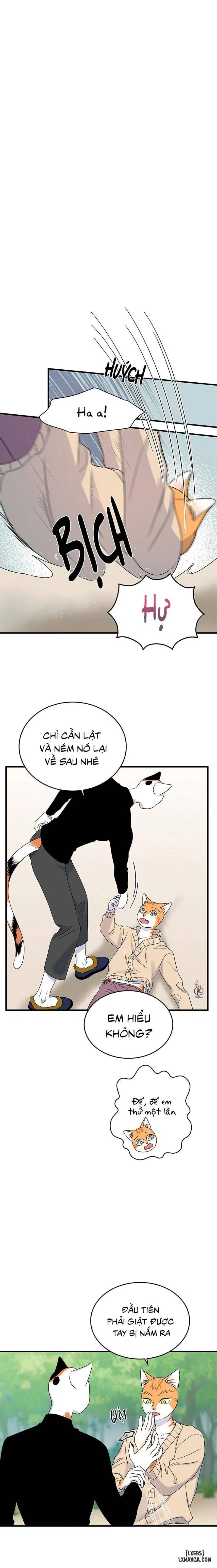 Dự án xanh 