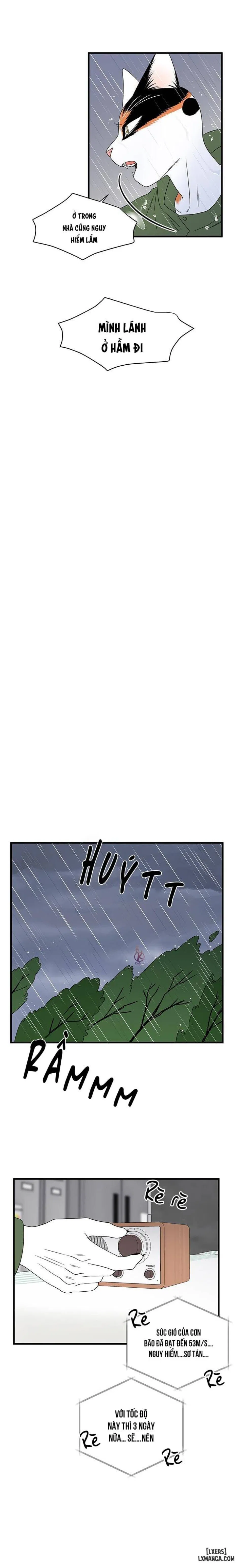 Dự án xanh 