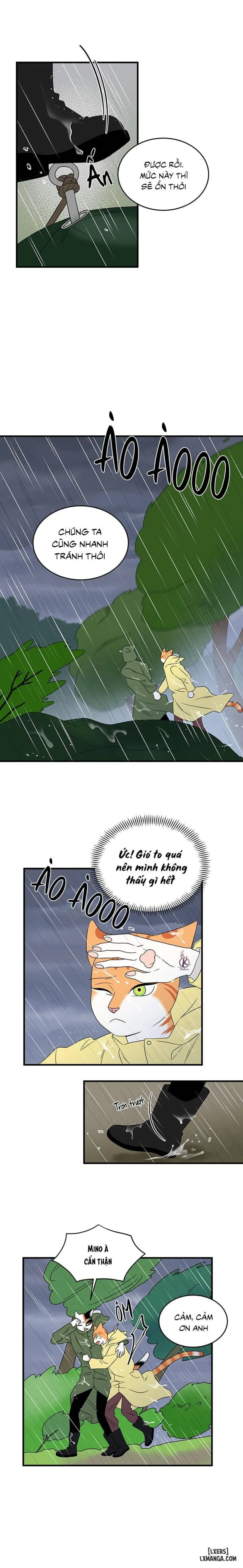 Dự án xanh 