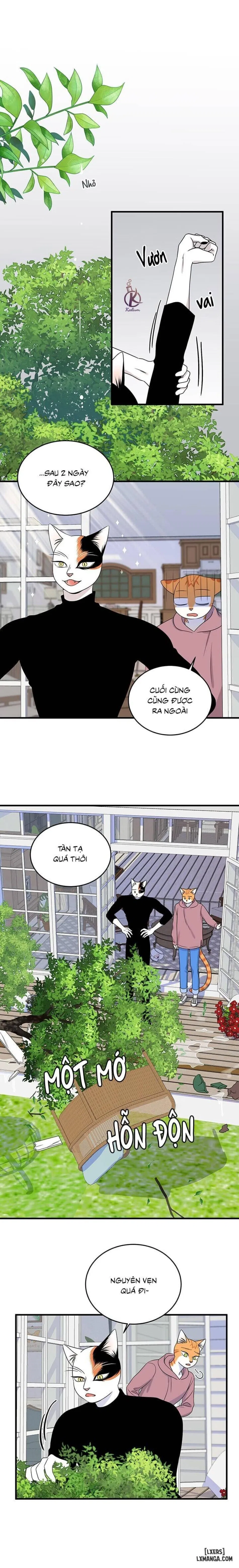 Dự án xanh 