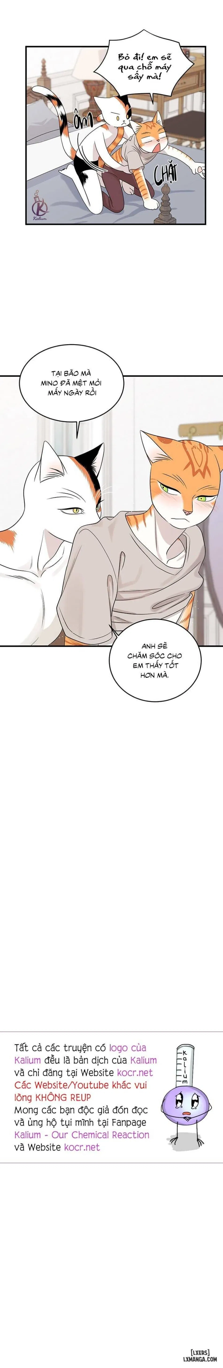 Dự án xanh 