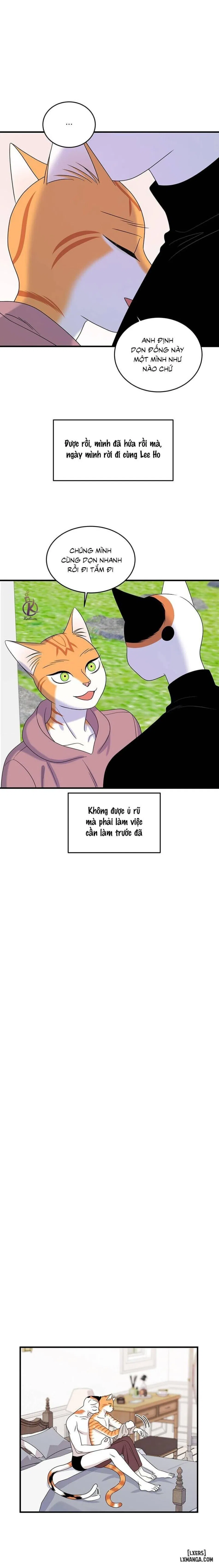 Dự án xanh 