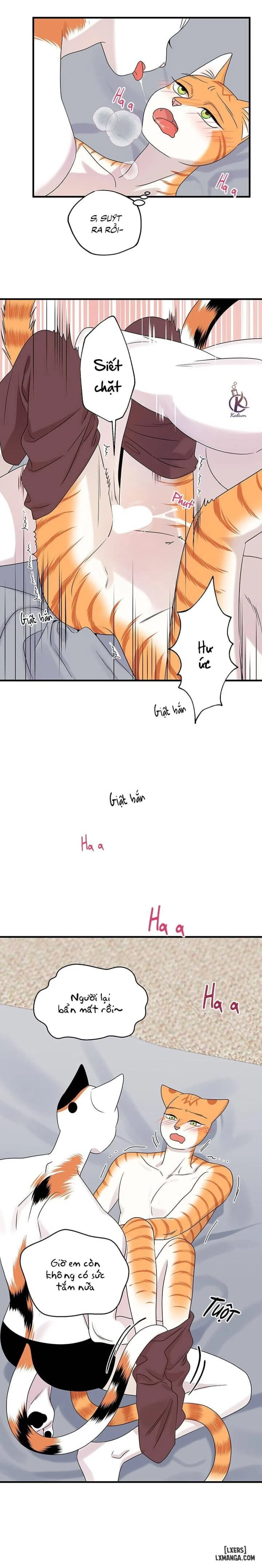 Dự án xanh 