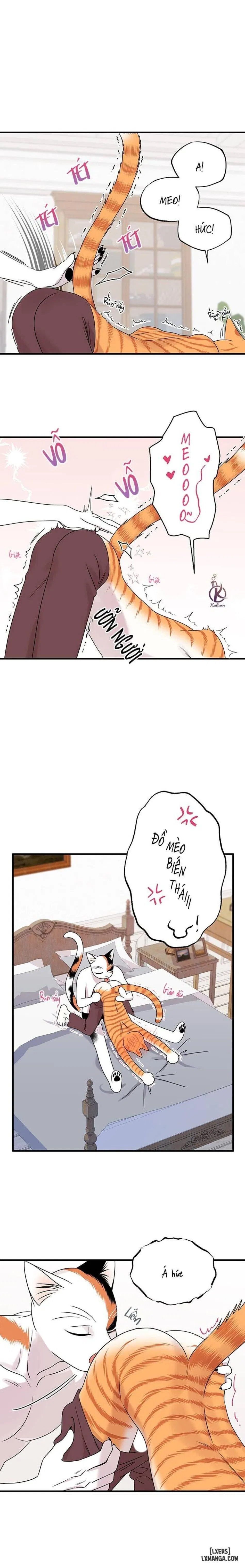 Dự án xanh 