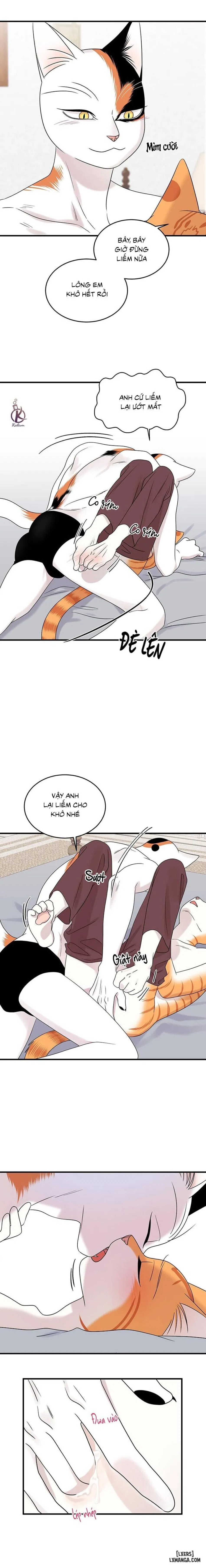 Dự án xanh 