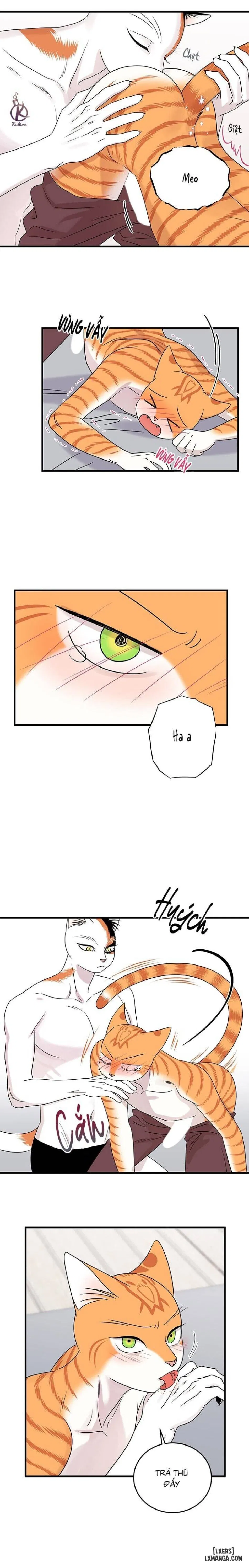 Dự án xanh 