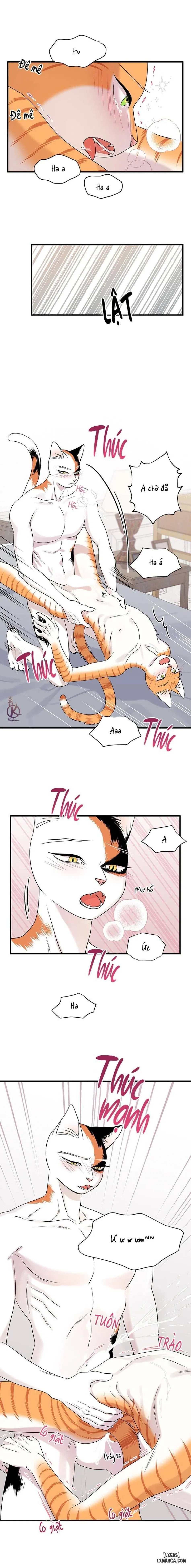 Dự án xanh 
