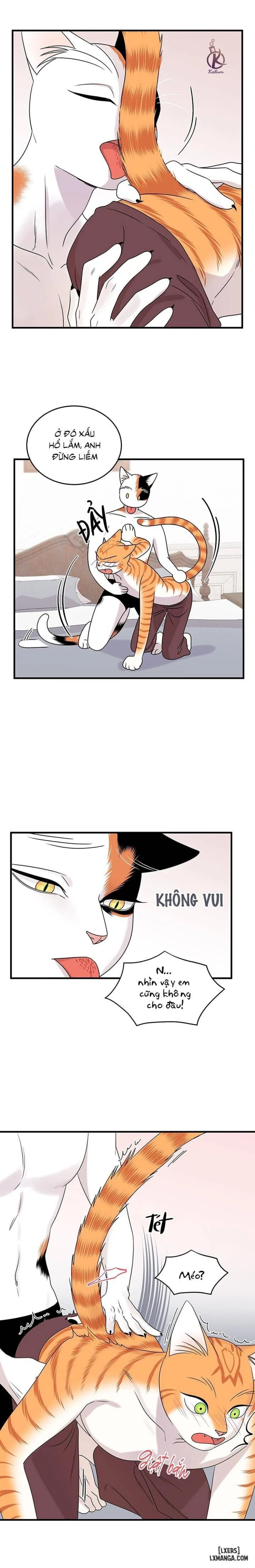 Dự án xanh 