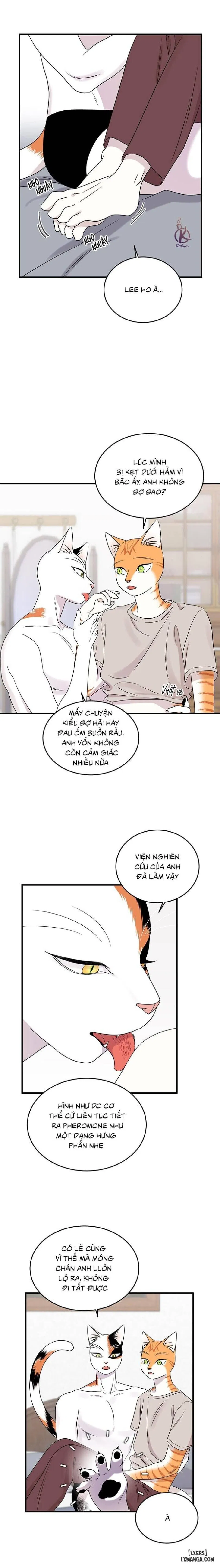 Dự án xanh 
