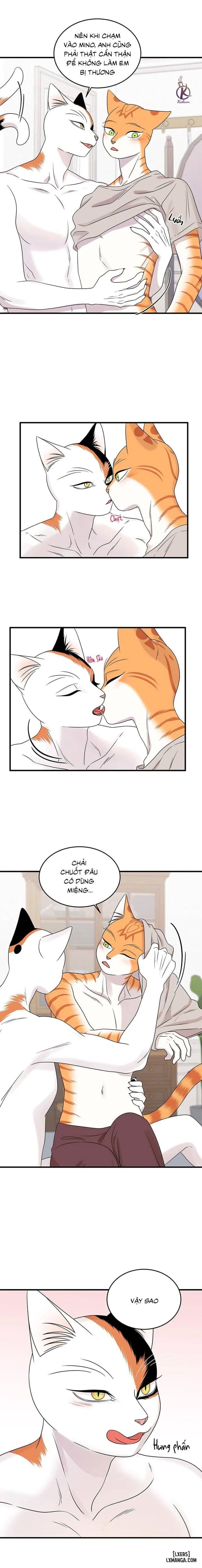 Dự án xanh 