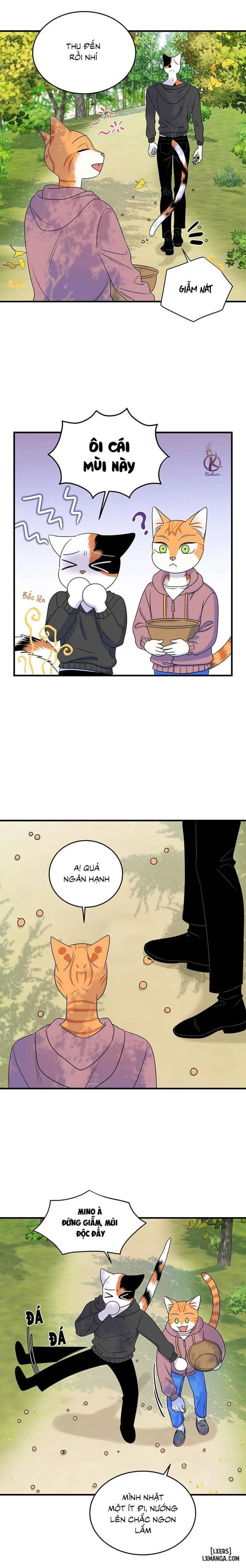 Dự án xanh 