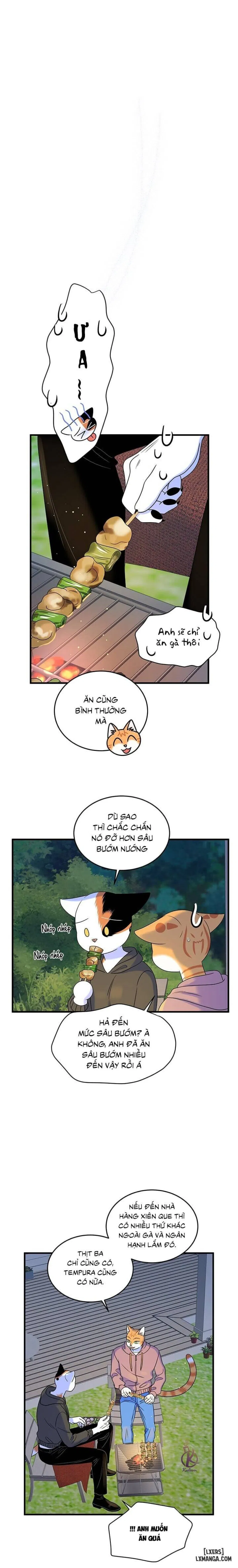 Dự án xanh 