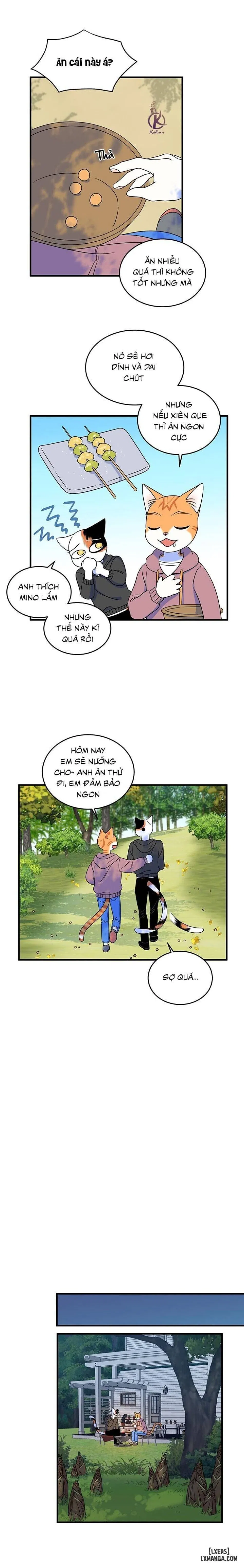 Dự án xanh 