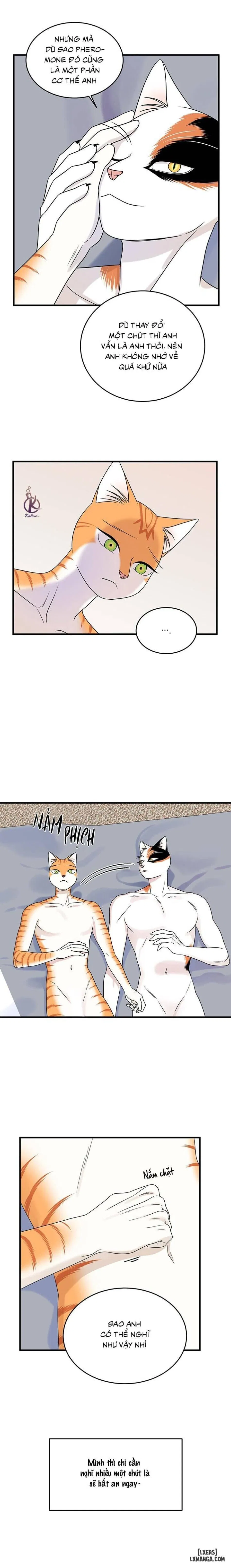 Dự án xanh 
