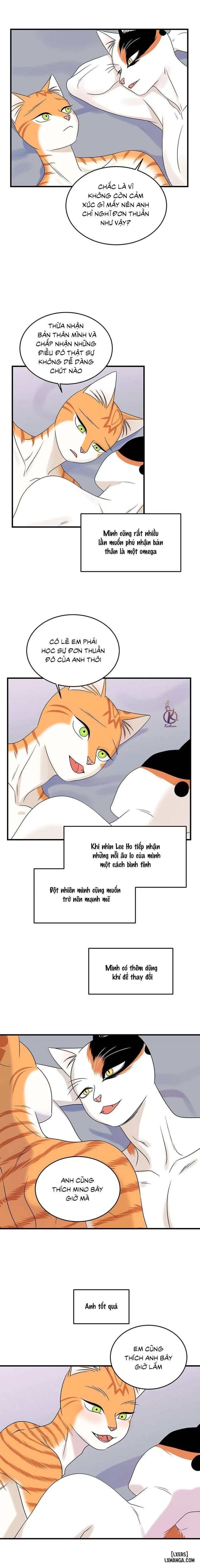 Dự án xanh 