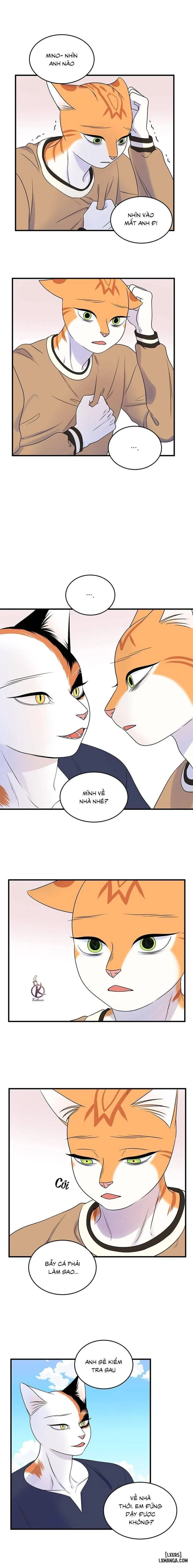 Dự án xanh 