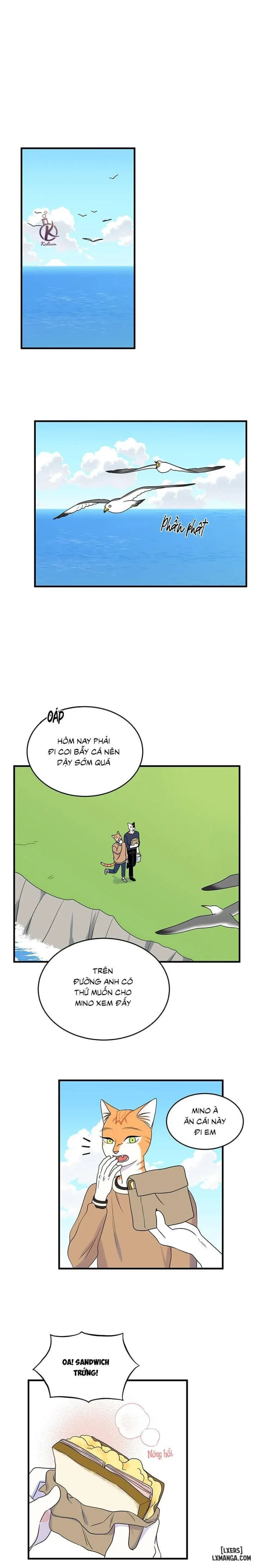 Dự án xanh 