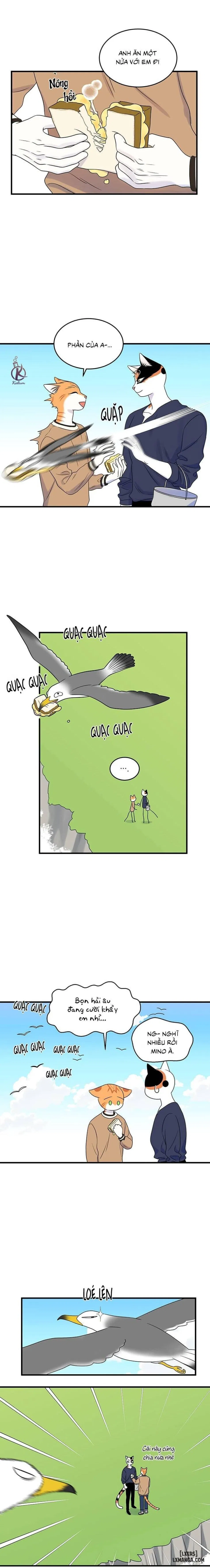 Dự án xanh 