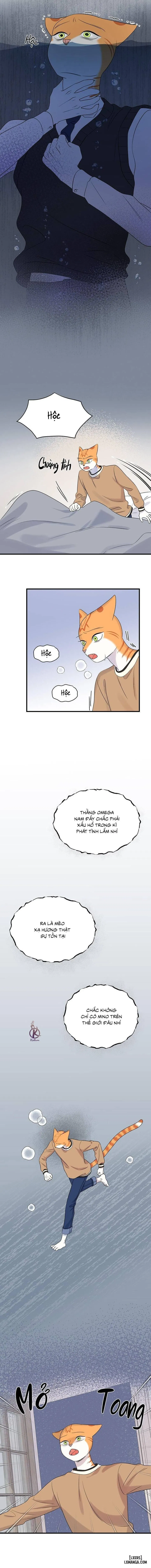Dự án xanh 