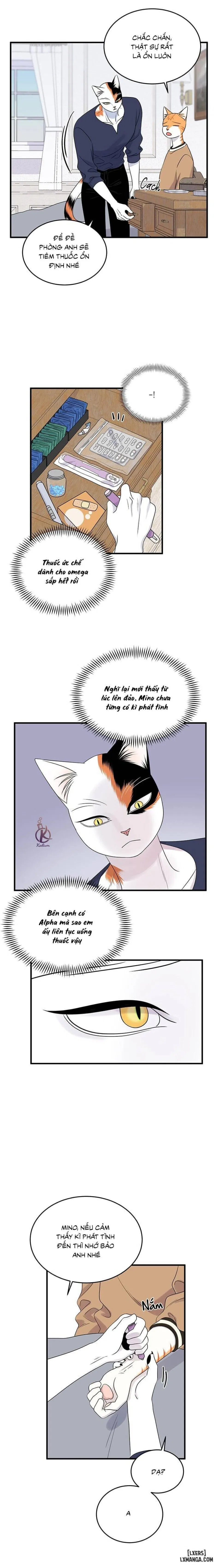 Dự án xanh 