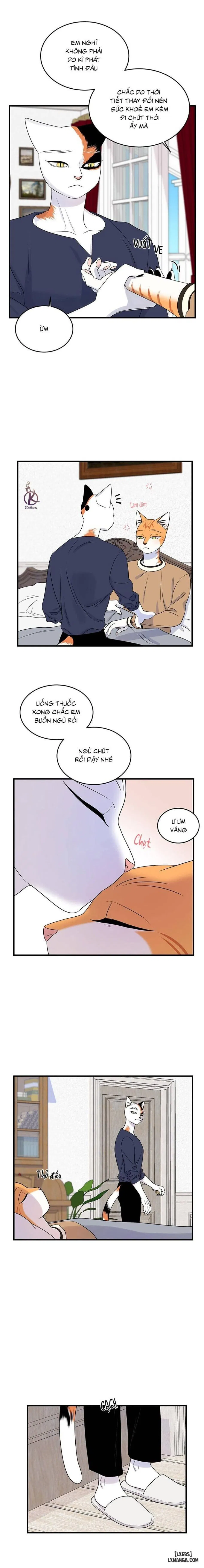 Dự án xanh 