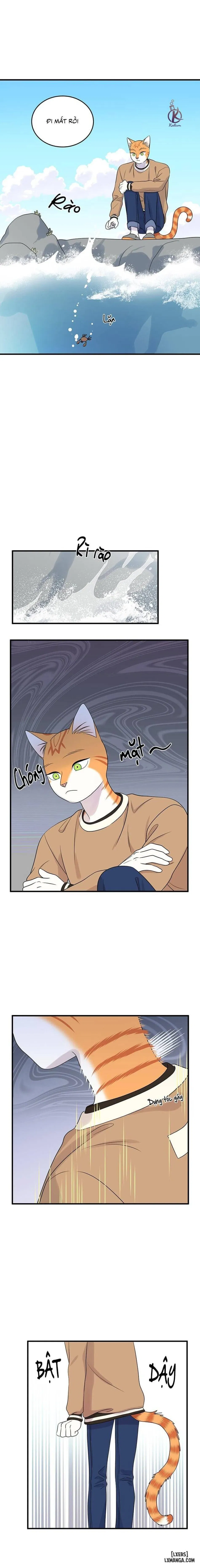 Dự án xanh 