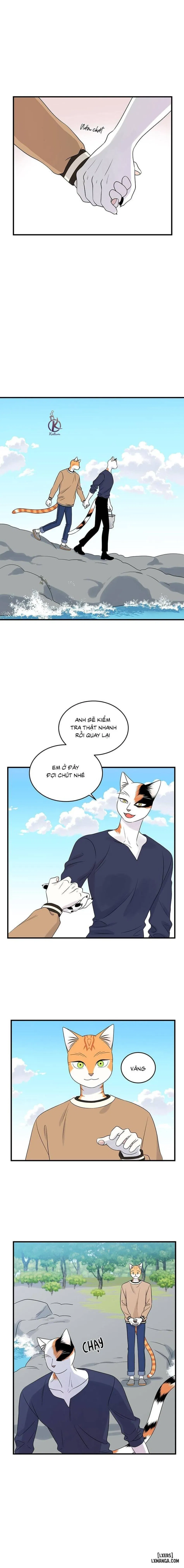 Dự án xanh 
