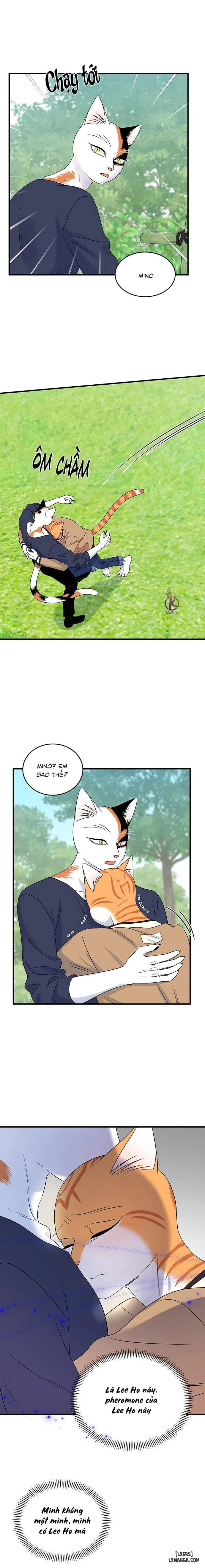 Dự án xanh 