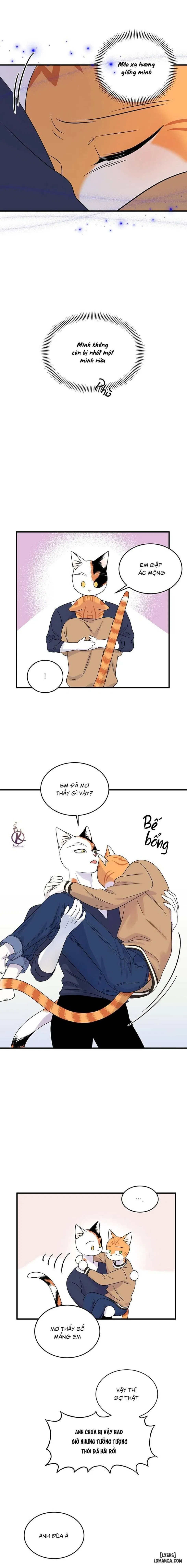 Dự án xanh 