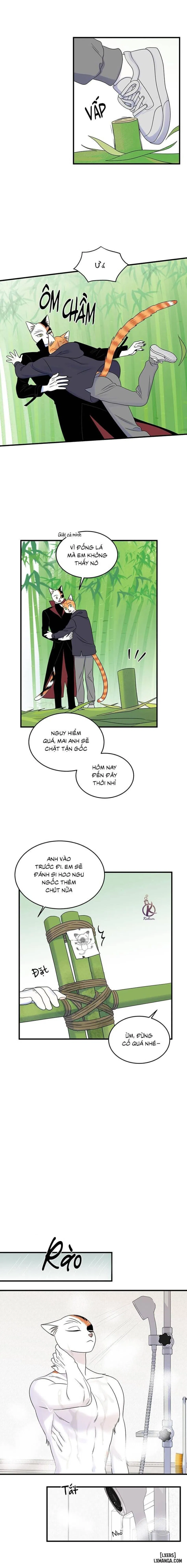Dự án xanh 
