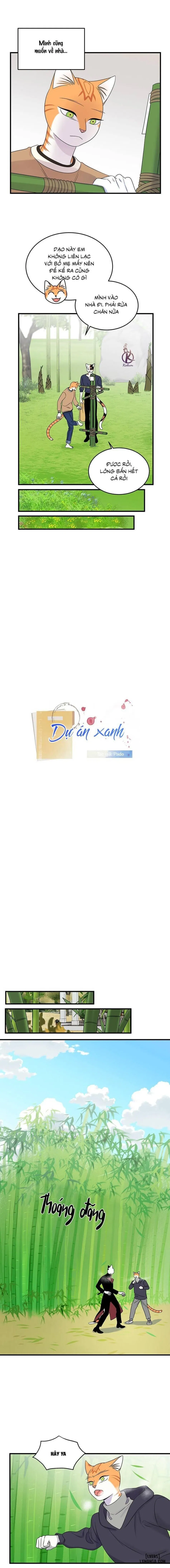 Dự án xanh 
