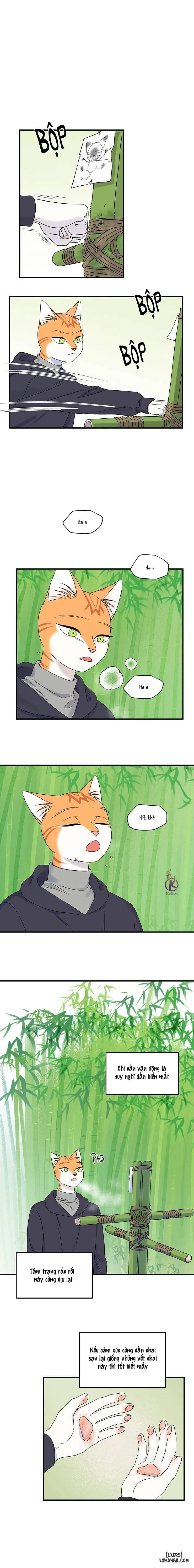 Dự án xanh 