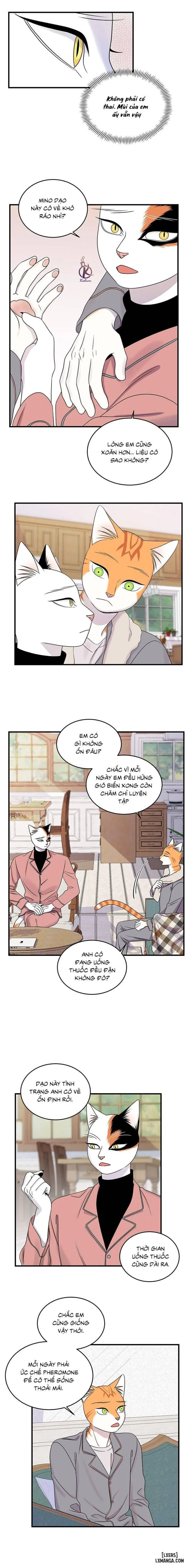 Dự án xanh 