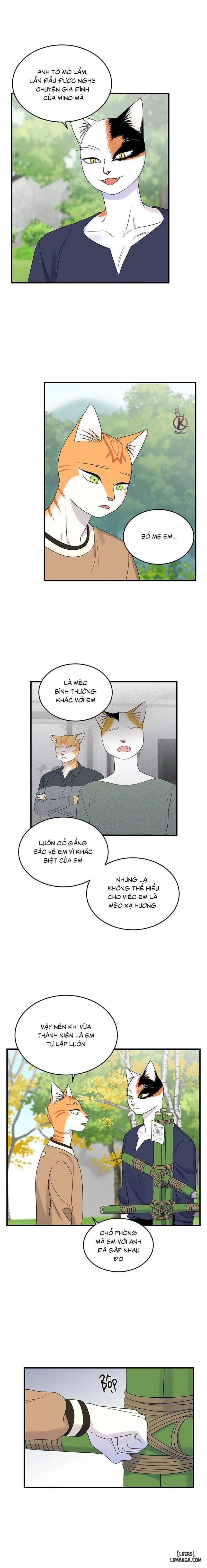 Dự án xanh 