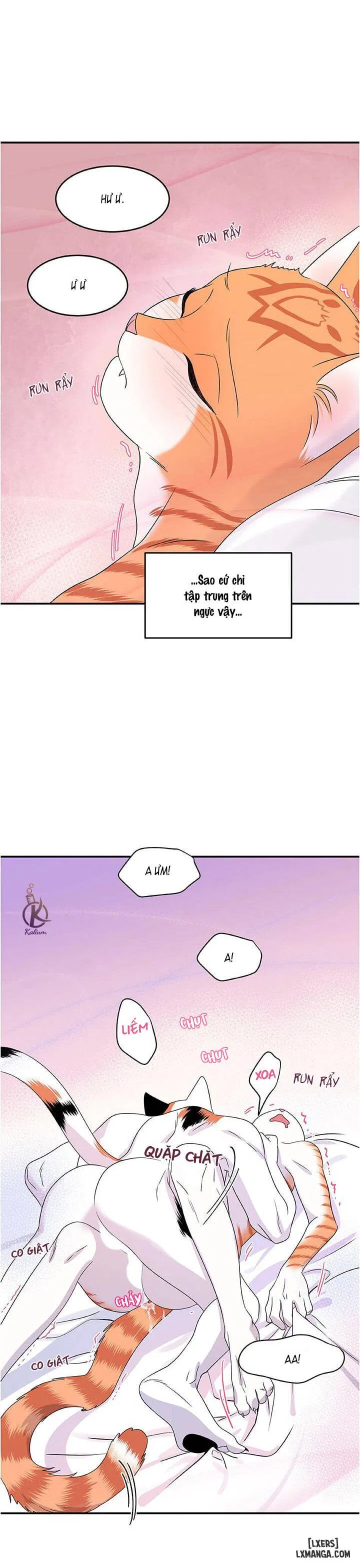 Dự án xanh 