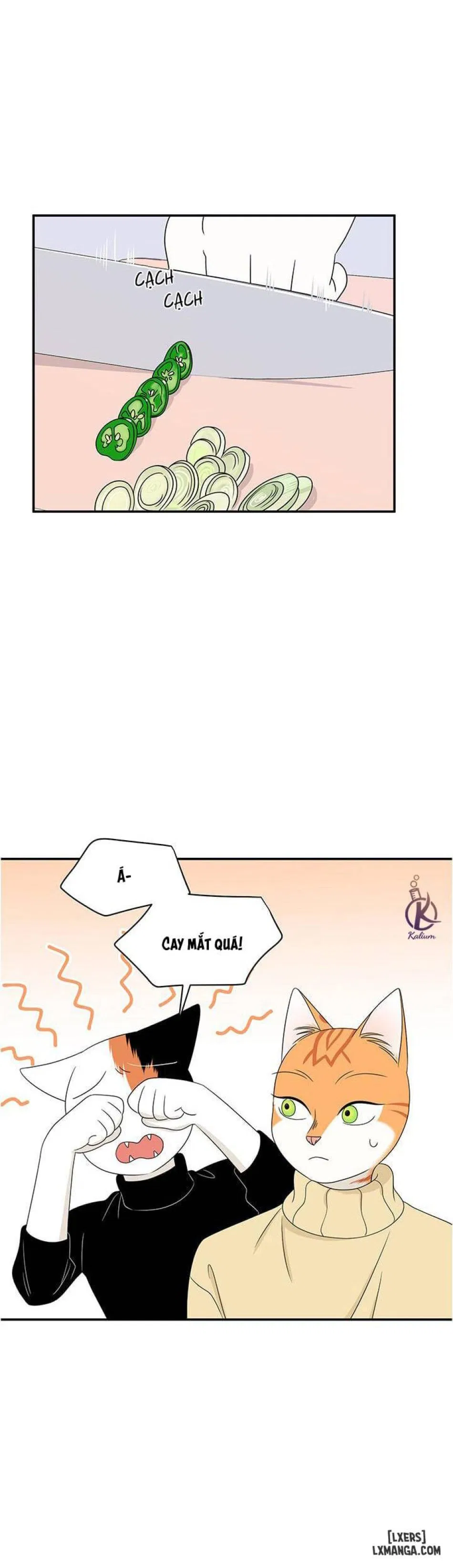 Dự án xanh 