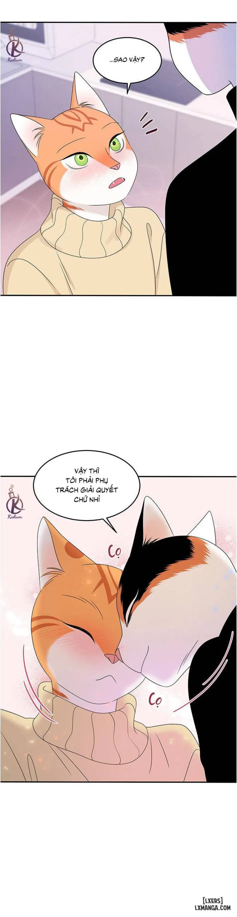 Dự án xanh 