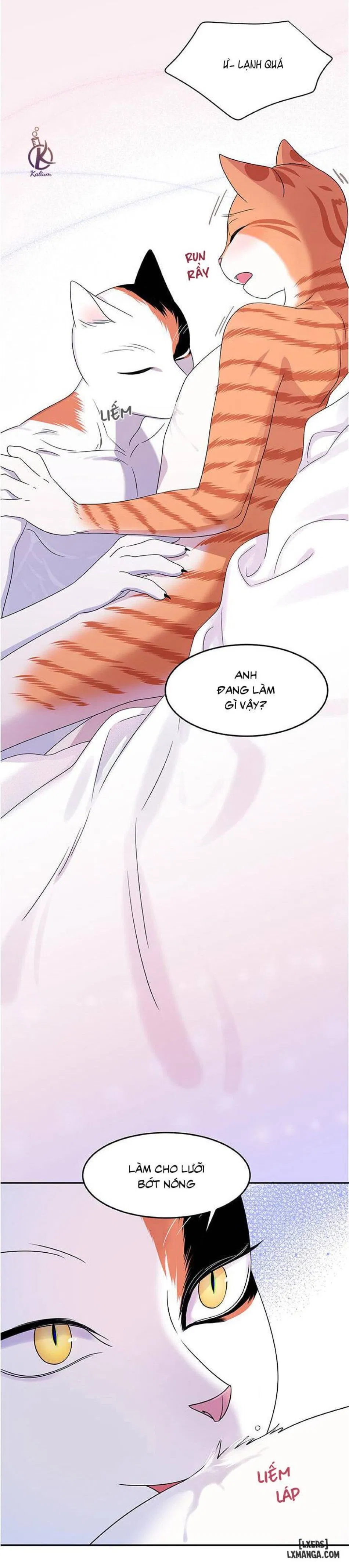 Dự án xanh 