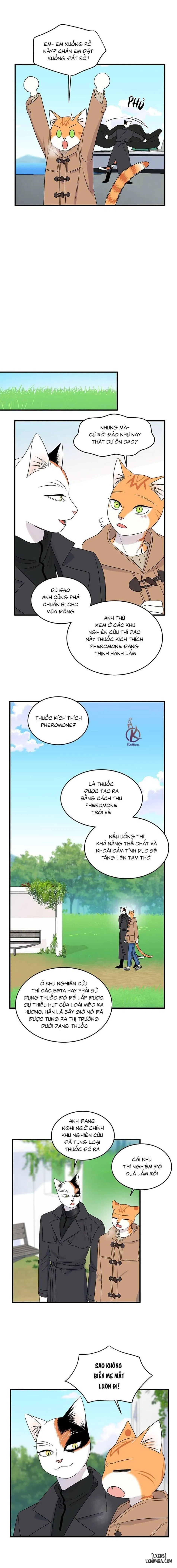 Dự án xanh 