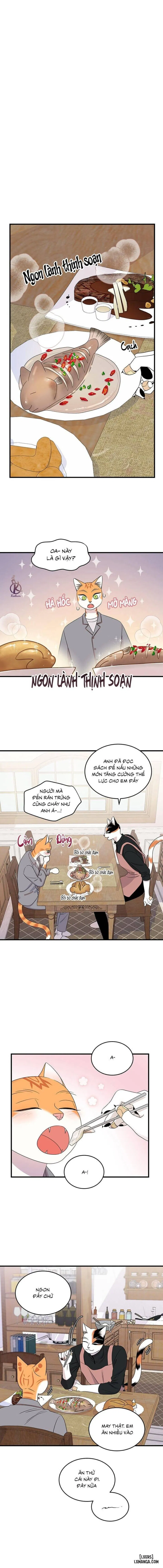 Dự án xanh 