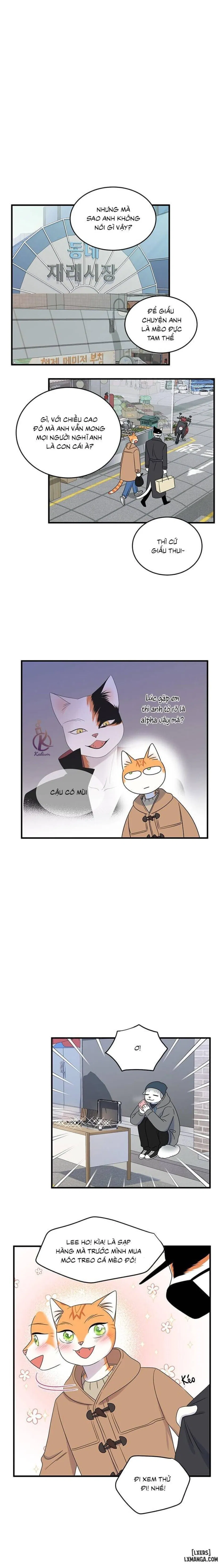 Dự án xanh 