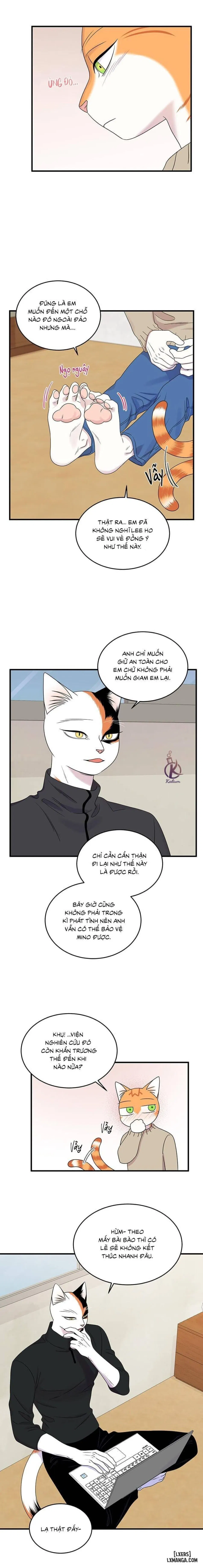 Dự án xanh 