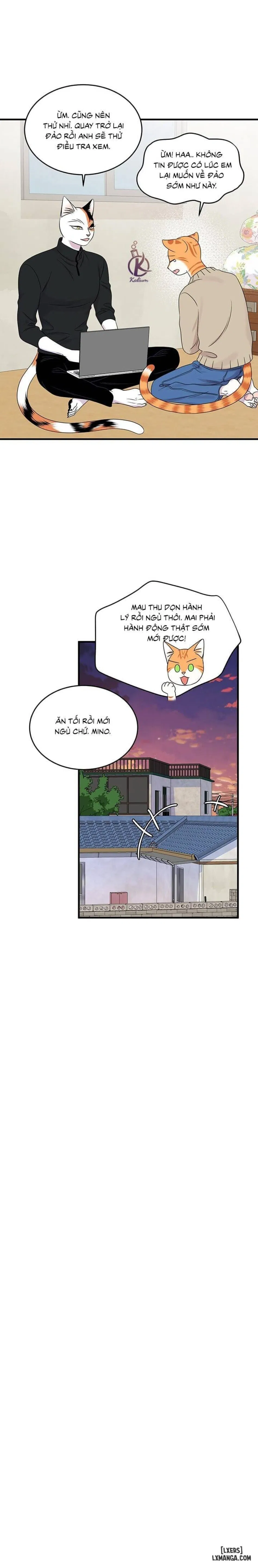 Dự án xanh 