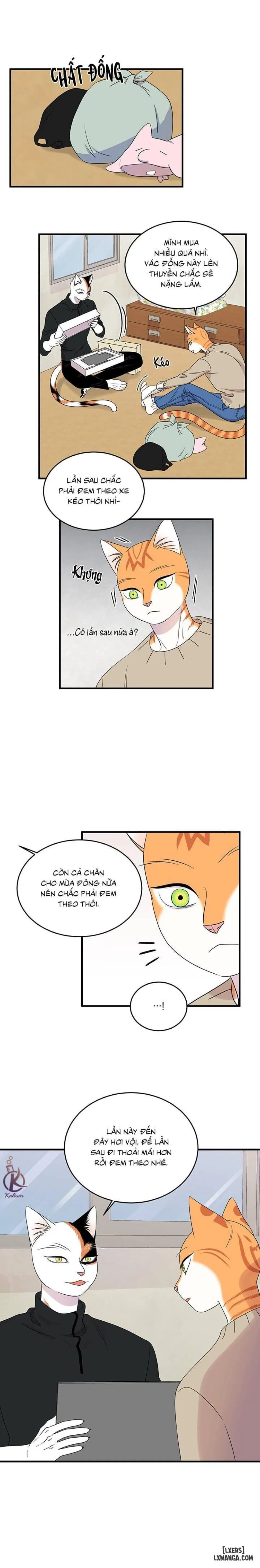 Dự án xanh 