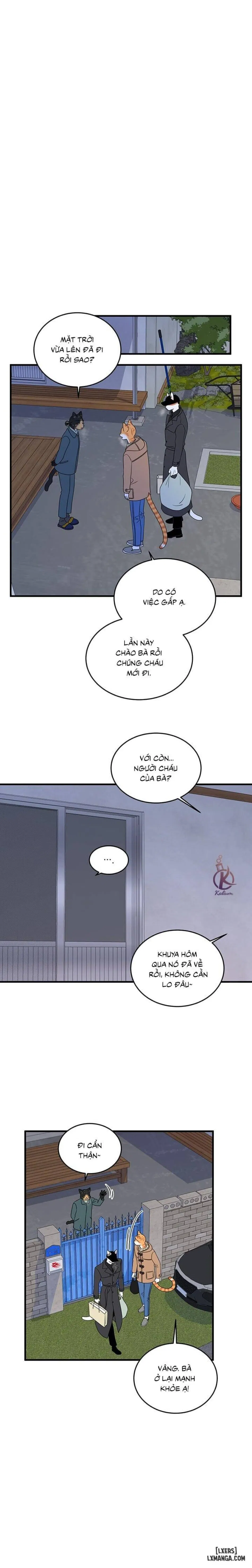 Dự án xanh 