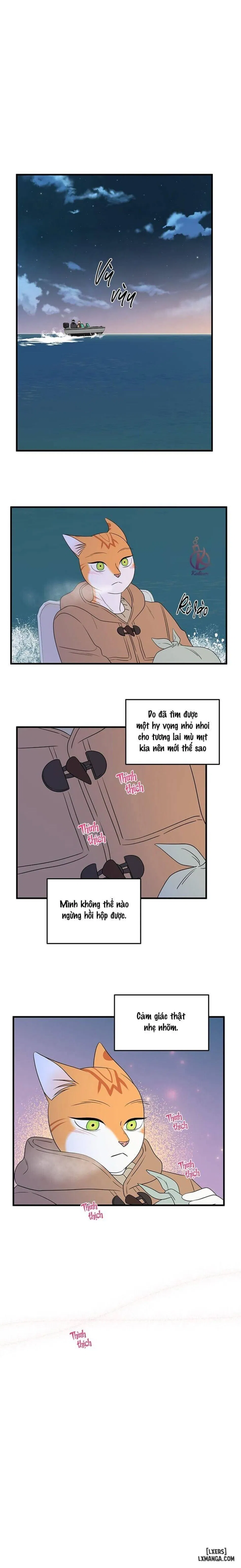 Dự án xanh 