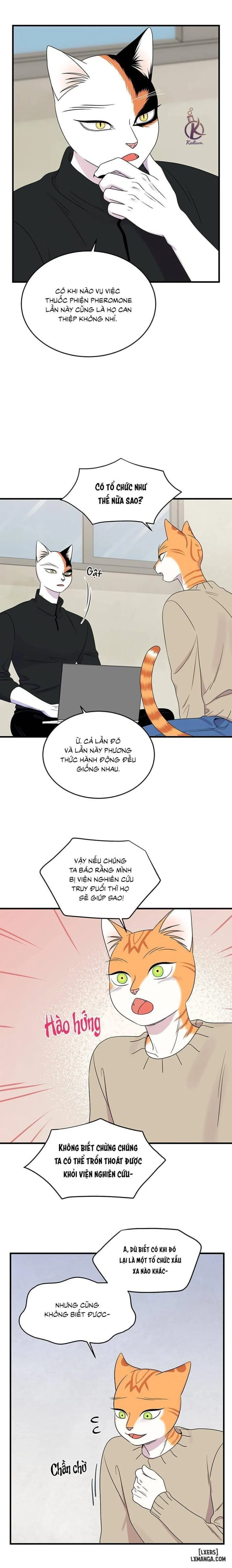 Dự án xanh 