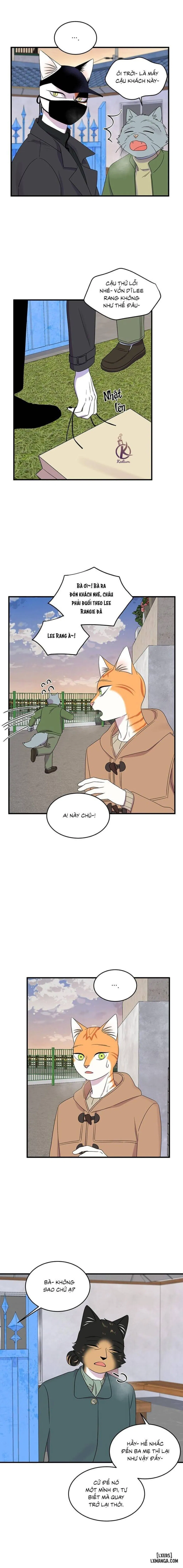 Dự án xanh 