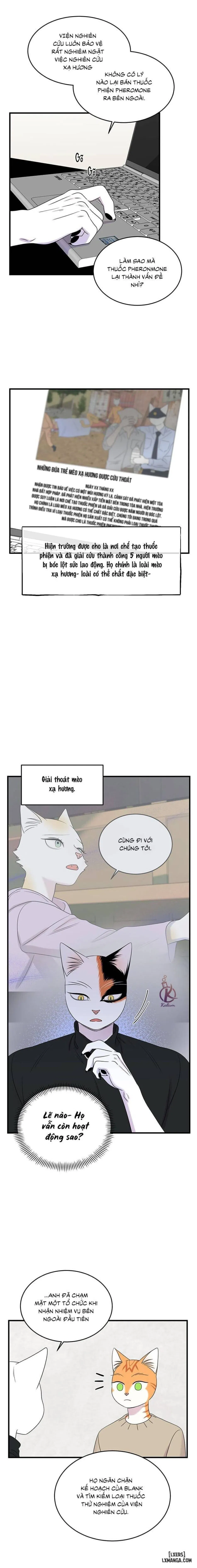 Dự án xanh 